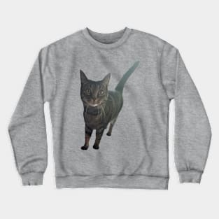 Alert Tabby Crewneck Sweatshirt